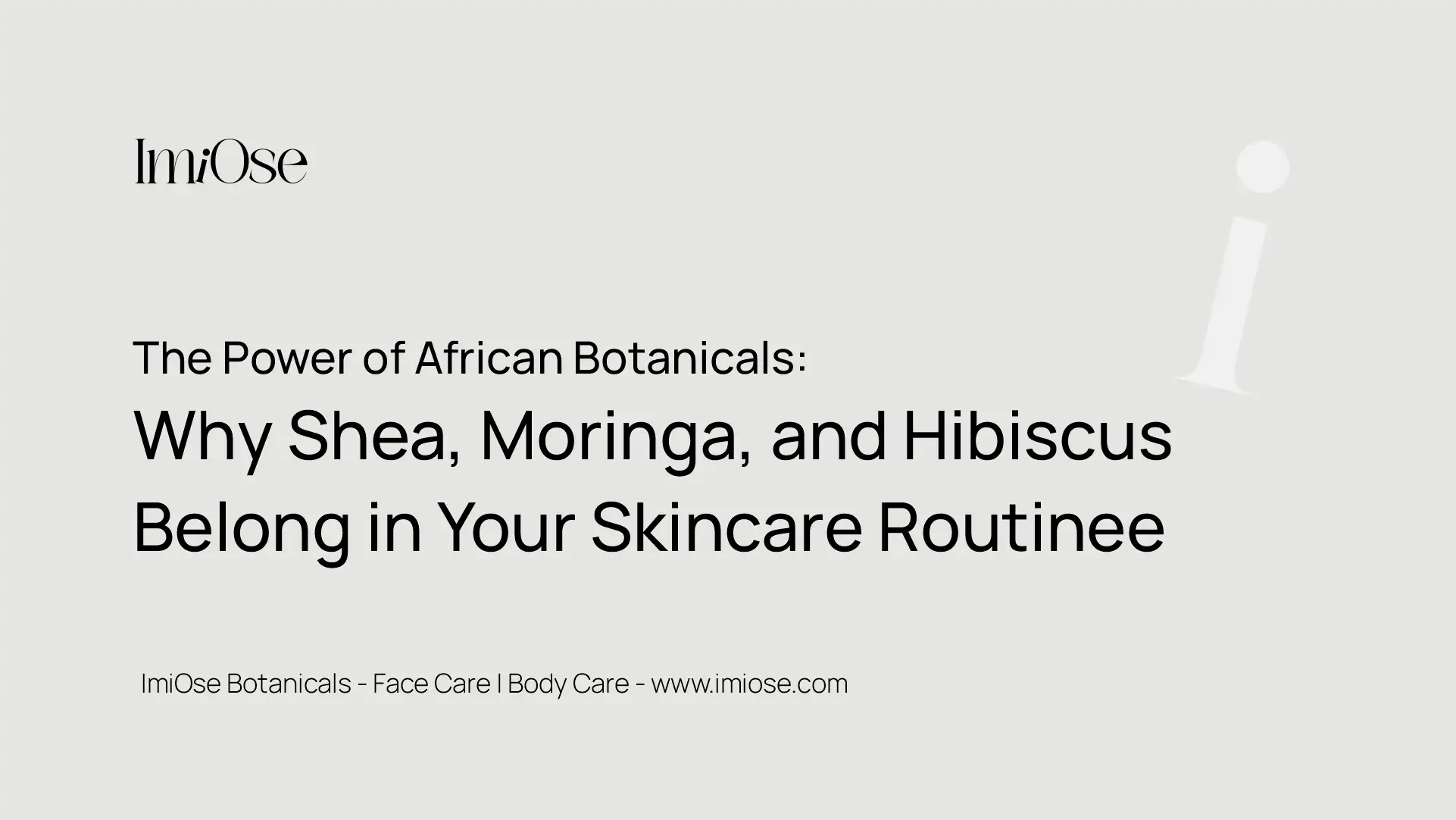 The Power of African Botanicals Why Shea Moringa and Hibiscus Belong in Your Skincare Routine